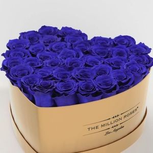 Meet your Posher, Queen